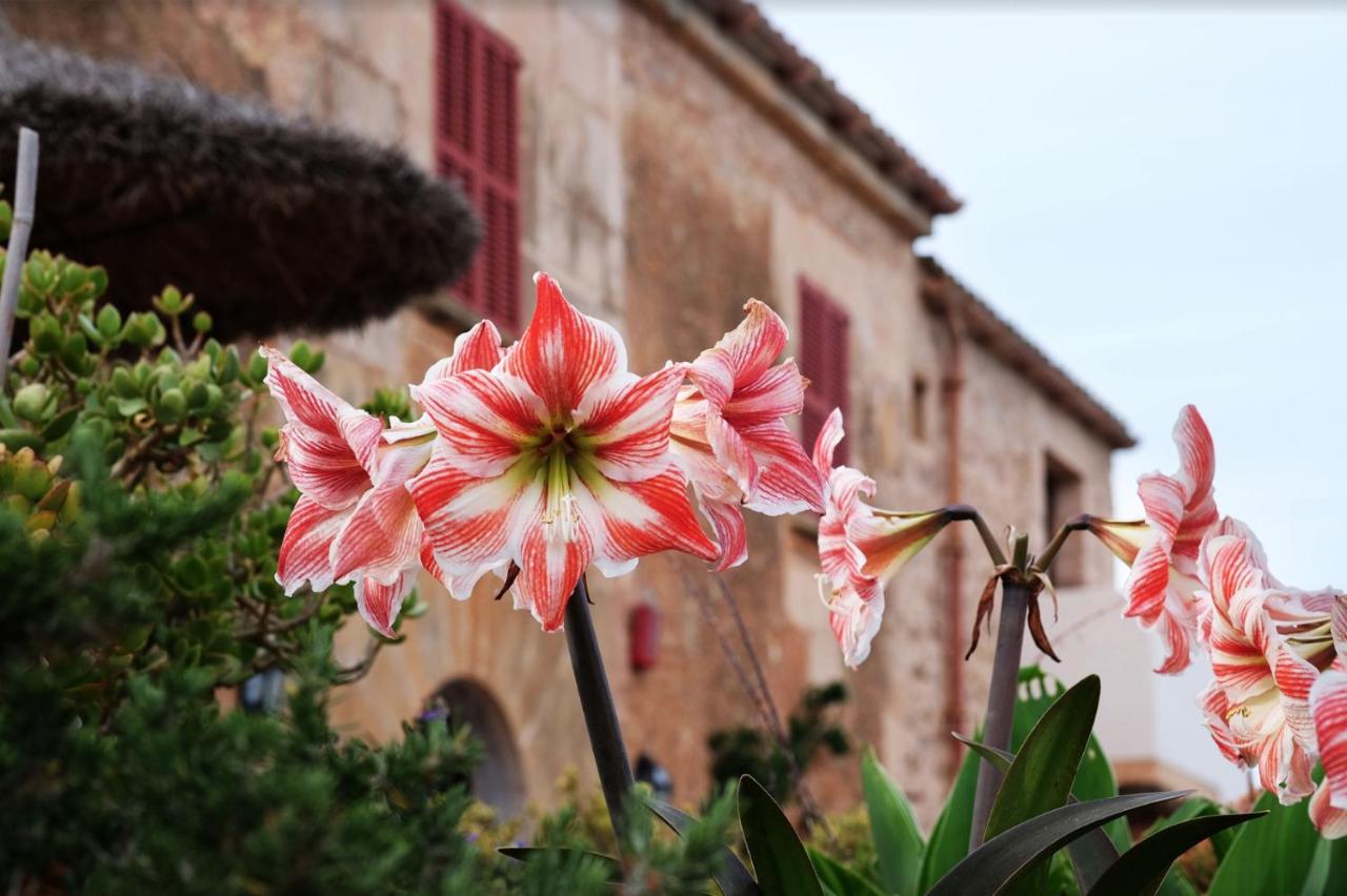 Finca Ses Cases Noves Sant Llorenc Des Cardassar Exterior foto