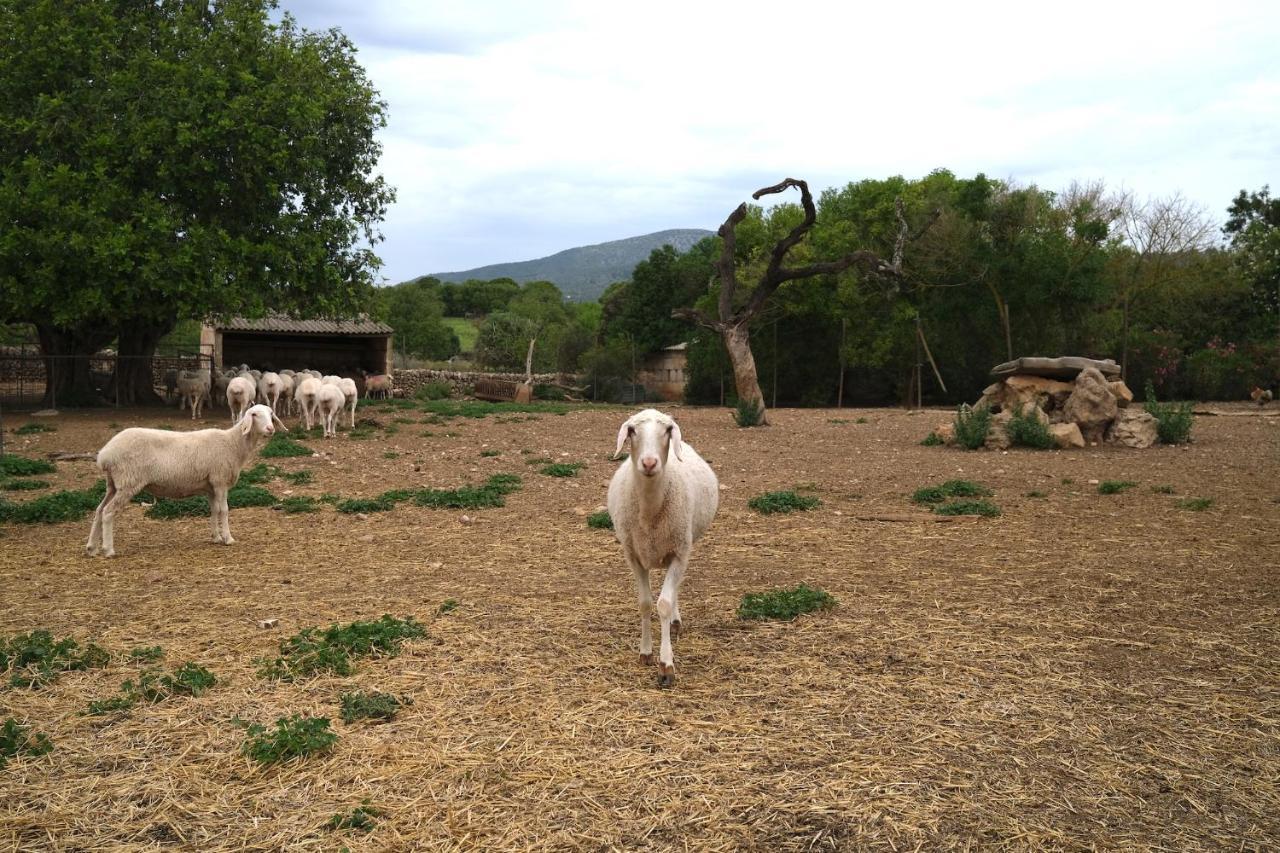 Finca Ses Cases Noves Sant Llorenc Des Cardassar Exterior foto