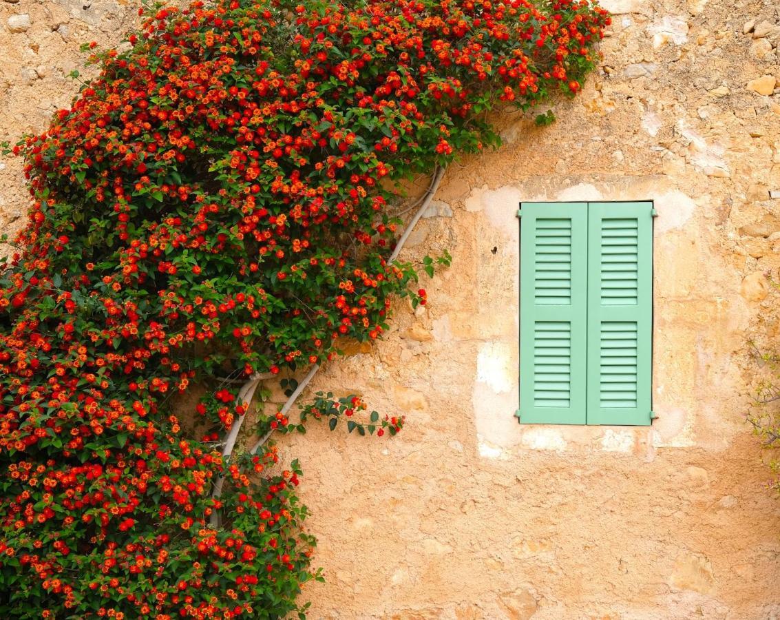 Finca Ses Cases Noves Sant Llorenc Des Cardassar Exterior foto