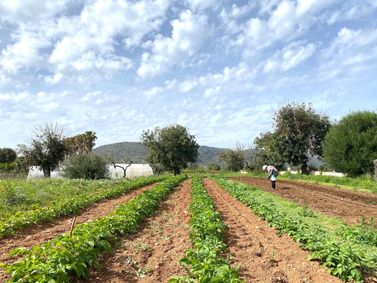 Finca Ses Cases Noves Sant Llorenc Des Cardassar Exterior foto
