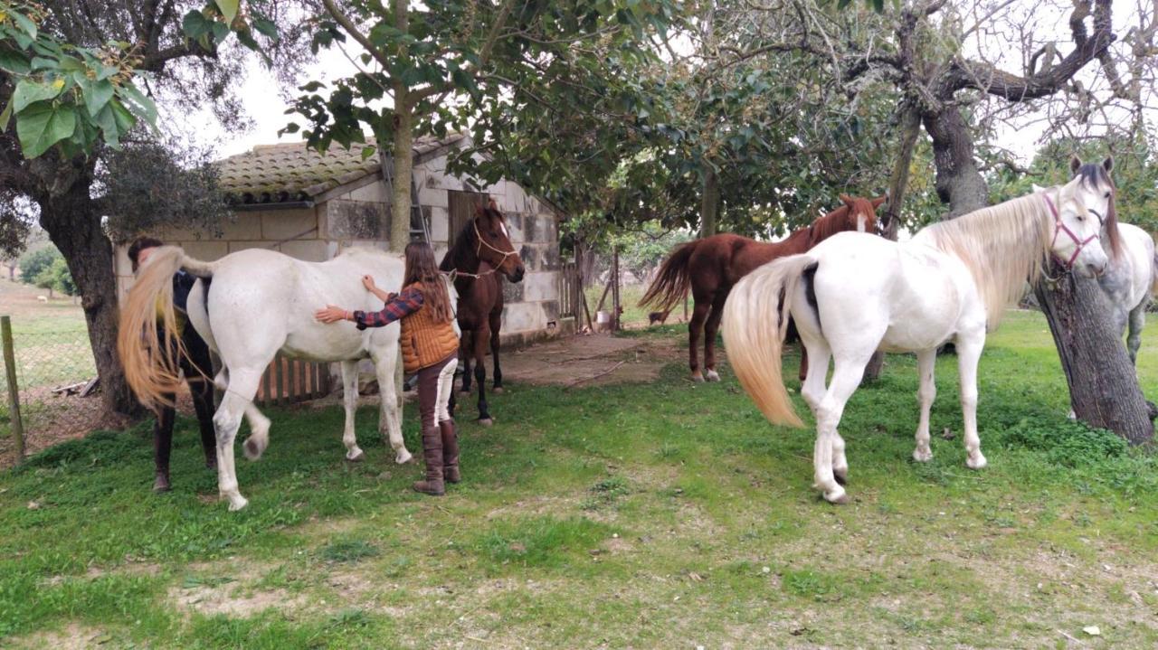 Finca Ses Cases Noves Sant Llorenc Des Cardassar Exterior foto
