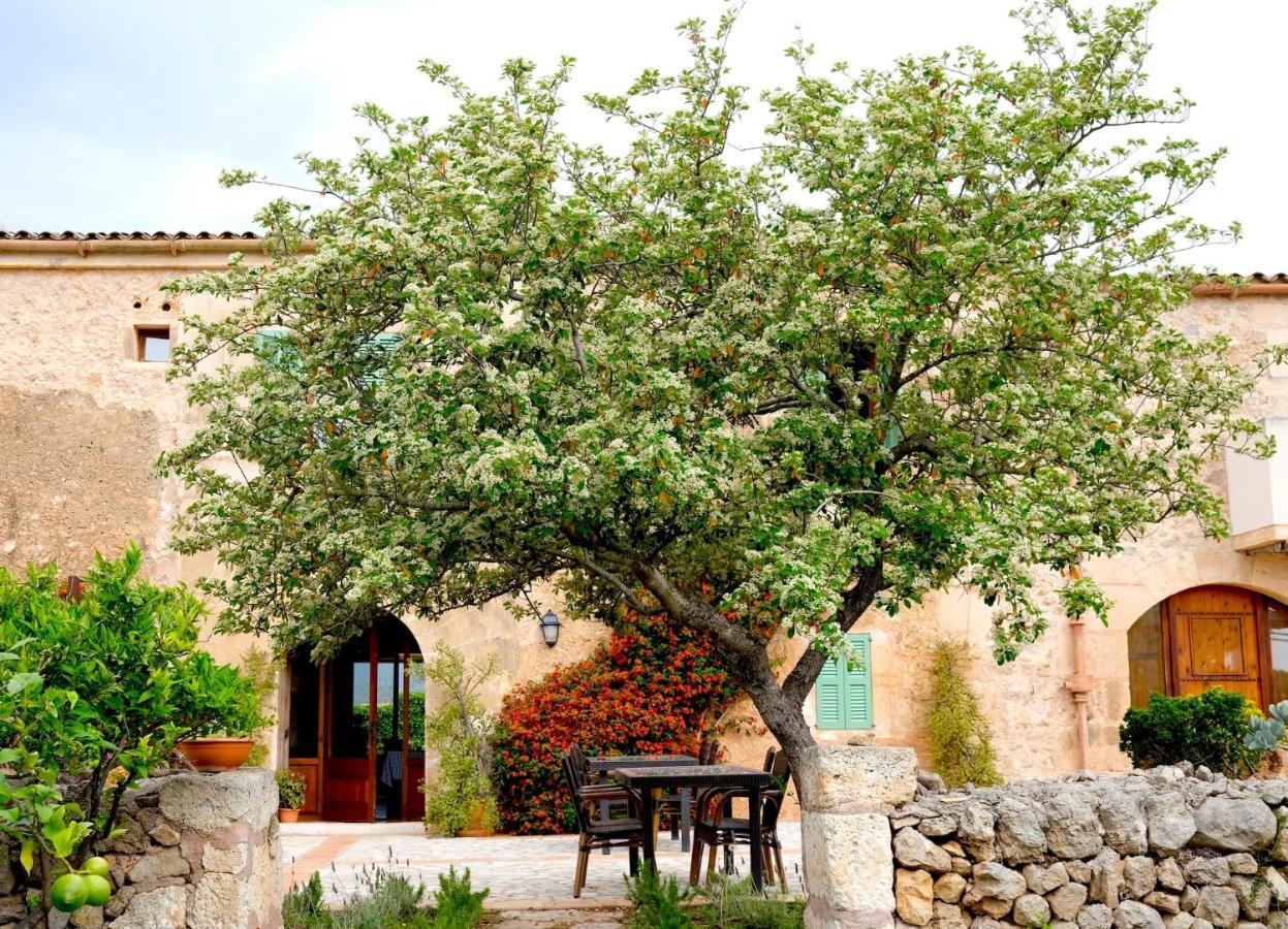 Finca Ses Cases Noves Sant Llorenc Des Cardassar Exterior foto