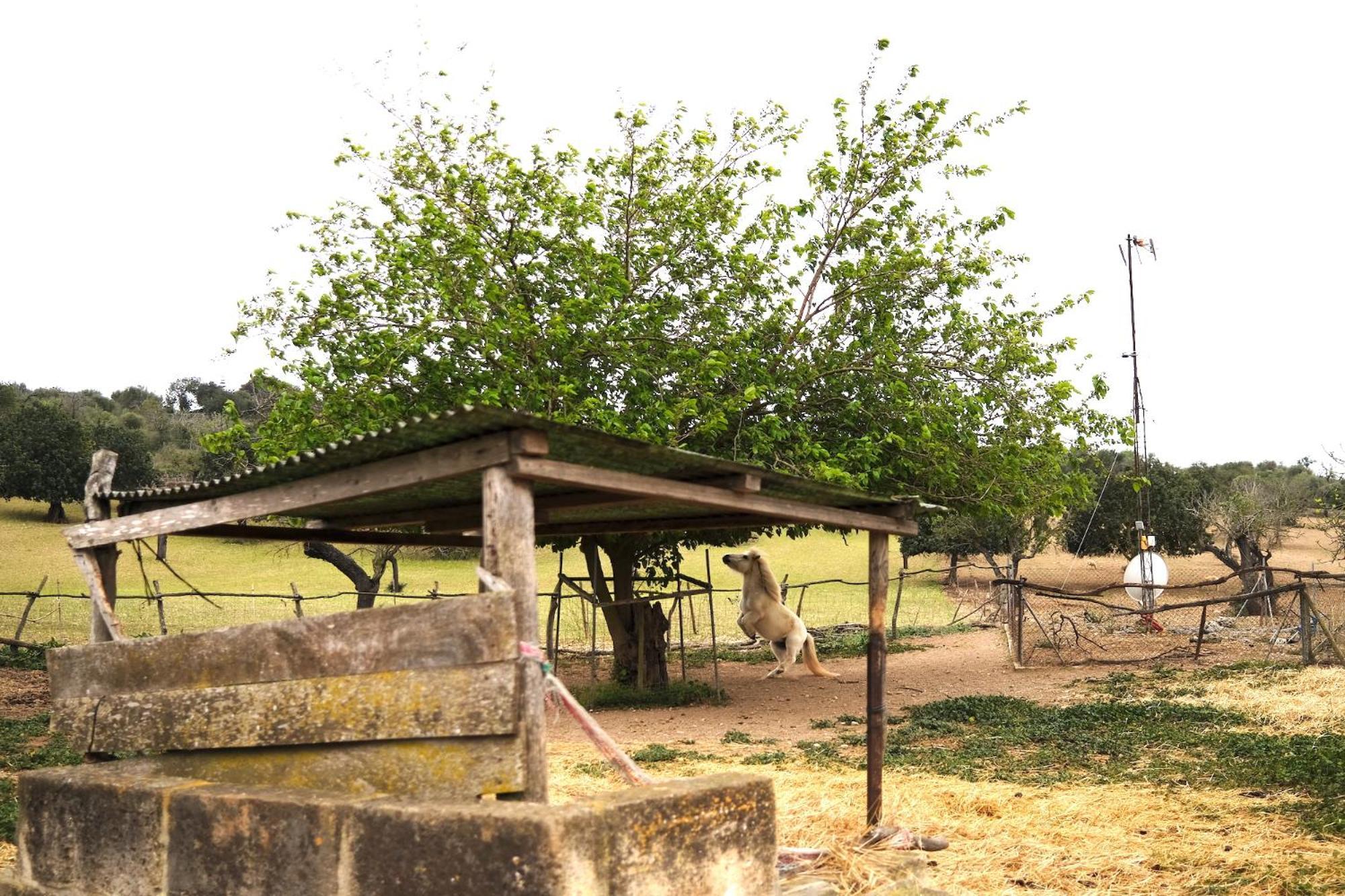 Finca Ses Cases Noves Sant Llorenc Des Cardassar Exterior foto