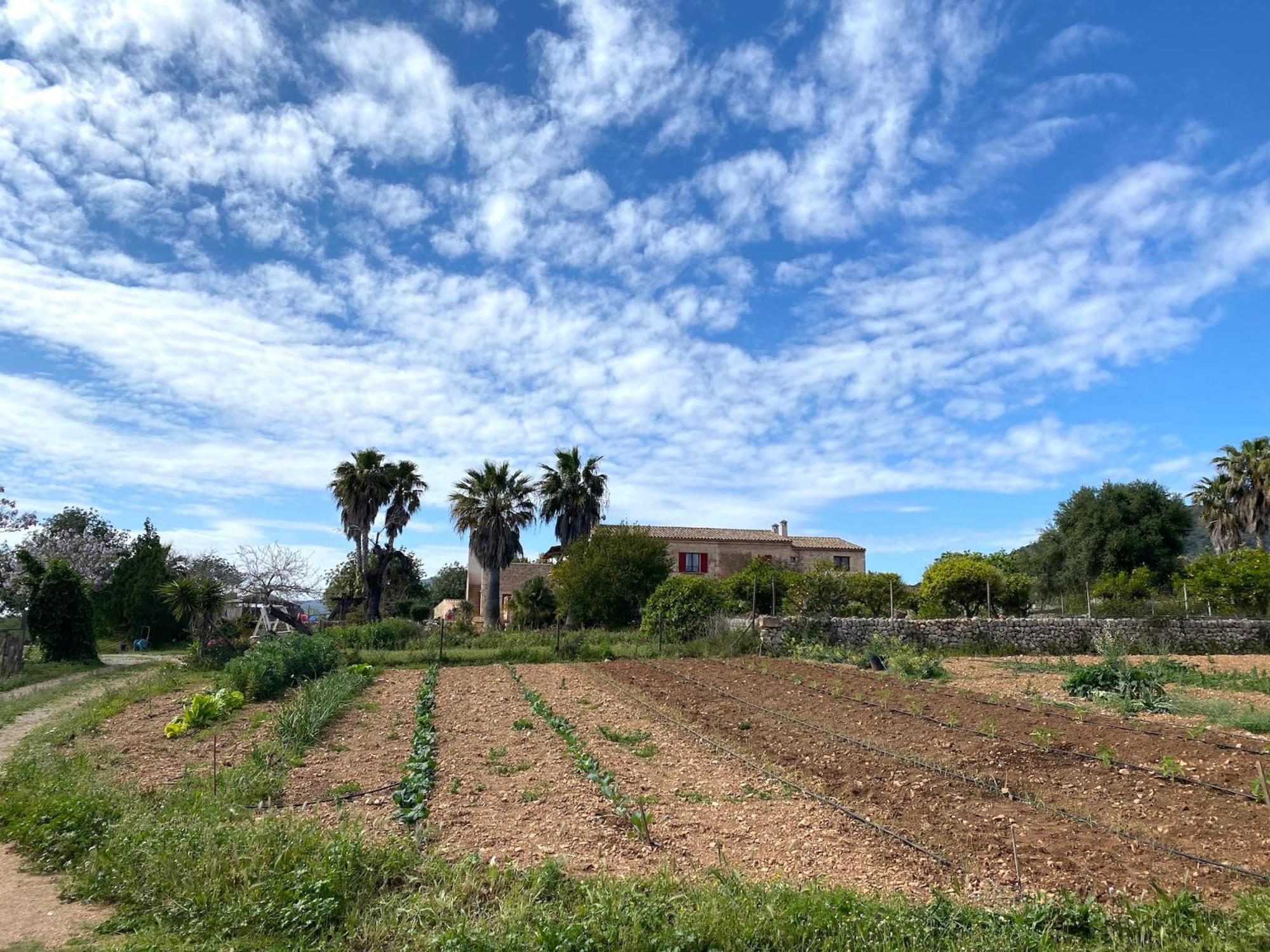 Finca Ses Cases Noves Sant Llorenc Des Cardassar Exterior foto