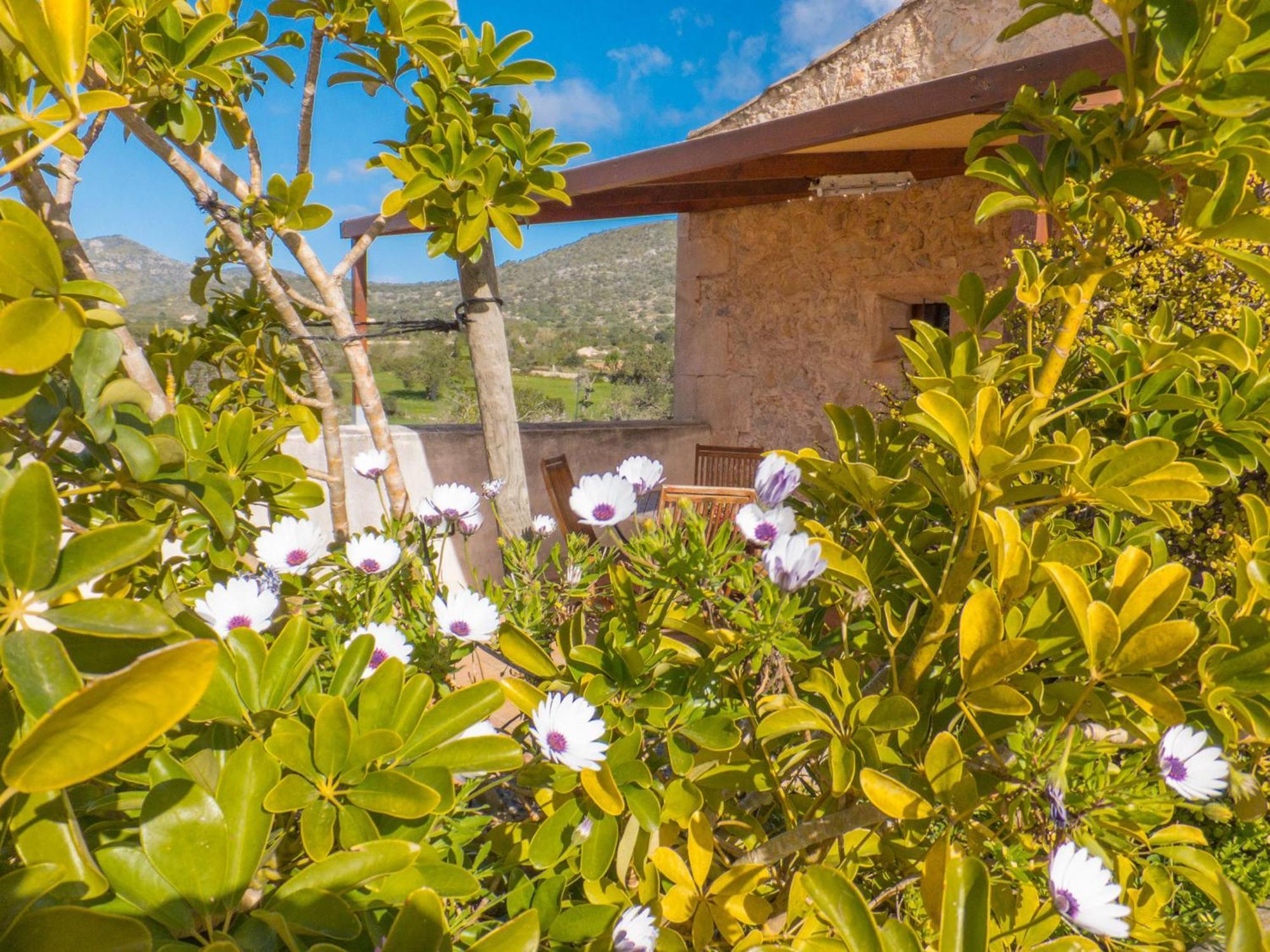 Finca Ses Cases Noves Sant Llorenc Des Cardassar Habitación foto